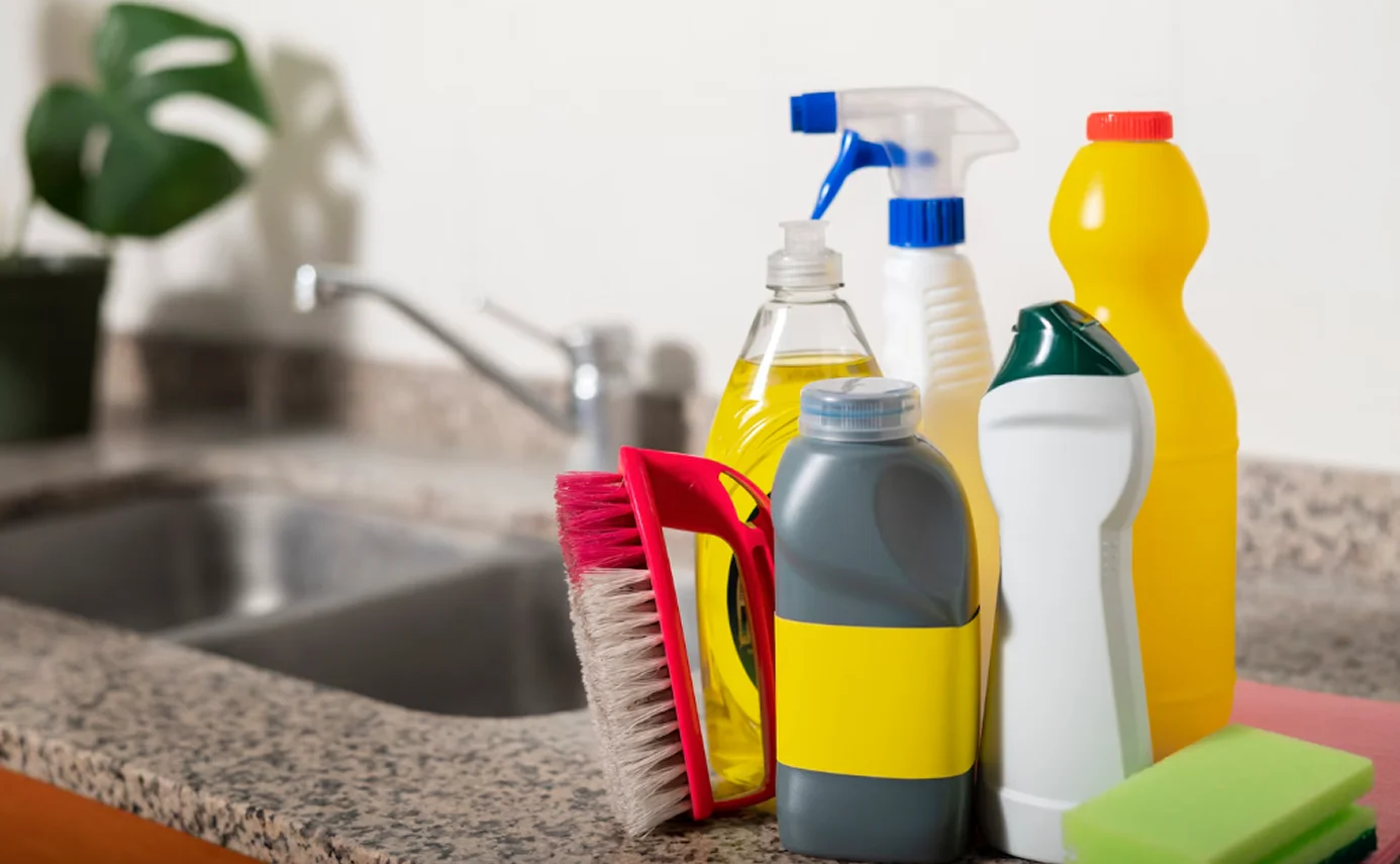 Vivamus libero leo tincidunt eget lectus rhoncus